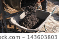 Close view shows wet concrete spilling from mixer drum into wheelbarrow beside worker legs on dusty construction ground, with sunlight, tools, and foundation work materials visible. 143603803