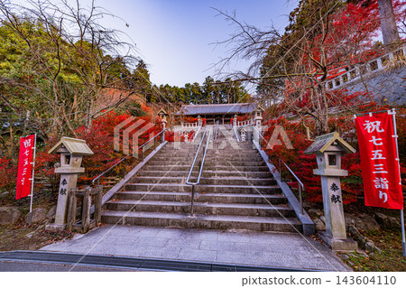 福岡縣野宮山觀音寺的秋景 143604110
