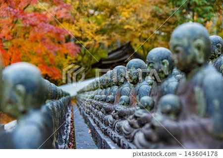 福岡縣野宮山觀音寺的秋景 143604178