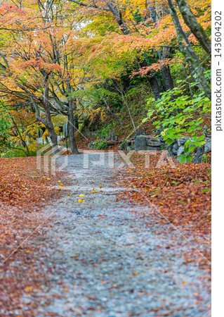 福岡縣野宮山觀音寺的秋景 福岡縣野宮山觀音寺的秋景 143604202