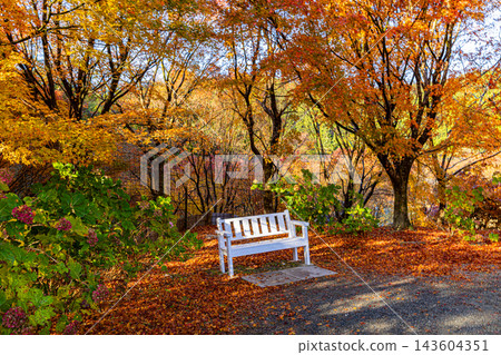 福岡縣野宮山觀音寺的秋景 143604351