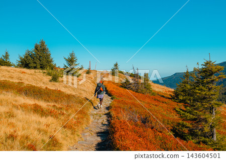 Woman hiker walking on a scenic autumn mountain trail Woman hiker walking on a scenic autumn mountain trail 143604501