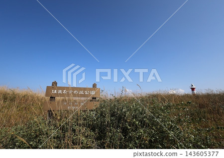 Early October in Hokkaido, Ishikari City, Ishikari River, estuary, Hamanasu Hill Park, morning walk, stroll, boardwalk walk, autumn Early October in Hokkaido, Ishikari City, Ishikari River, estuary, Hamanasu Hill Park, morning walk, stroll, boardwalk walk, autumn 143605377
