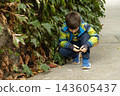 Curious young child exploring leafy plants while sitting outside 143605437
