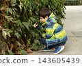 Curious child playing with ivy foliage in outdoor park 143605439