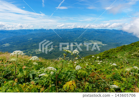 青森縣磐山健行步道兩旁,夏季高山植物競相綻放,俯瞰下方津輕平原的壯麗景色。 (山地自然景觀材料) 青森縣磐山健行步道兩旁,夏季高山植物競相綻放,俯瞰下方津輕平原的壯麗景色。 (山地自然景觀材料) 143605706