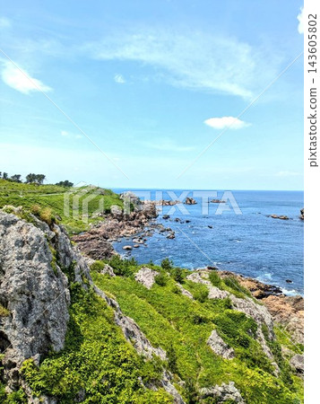 壯麗的海岸風光，藍天白雲，綠草如茵。 143605802