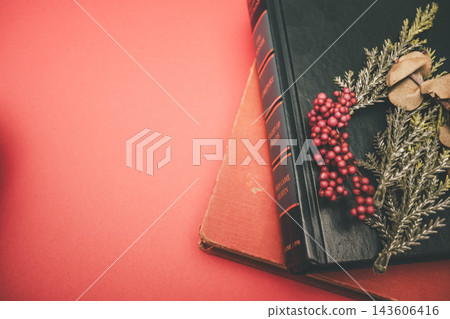 紅色背景和乾燥花 紅色背景和乾燥花 143606416