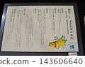 A brief description of Sukunahikona Shrine 143606640