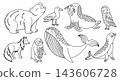 Arctic Animals Set 143606728