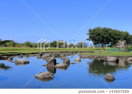 Cosmos Festival / Kinugawa Green Park Cosmos Festival / Kinugawa Green Park 143607089