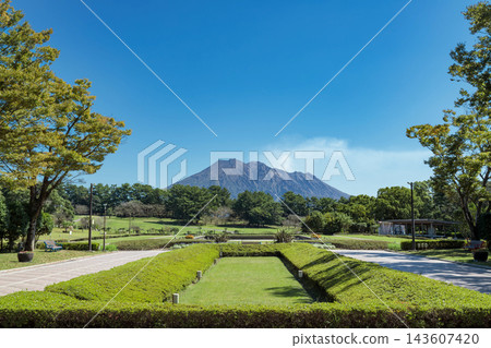 夏天，吉野公園綠樹成蔭，草地茵茵，透過松林可以看到遠處的櫻島。 143607420