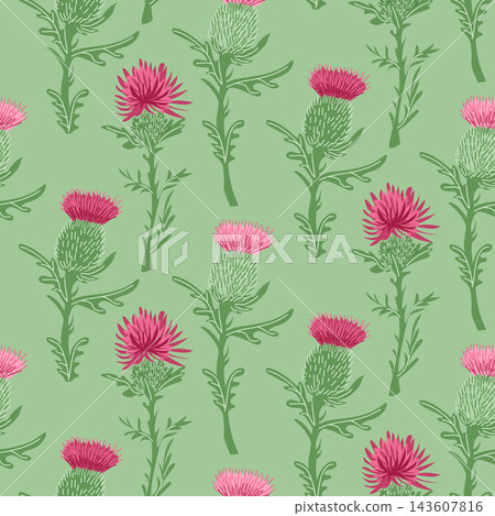 Seamless thistle pattern with pink and green botanical stems on a muted sage background, decorative repeating floral illustration for textile and surface design 143607816