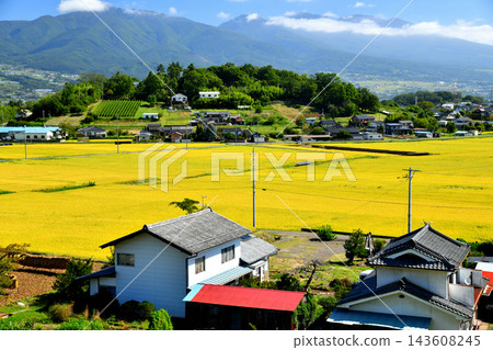 從長野縣富富市八重原眺望淺間山（長野縣富富市）[2026.9] 143608245