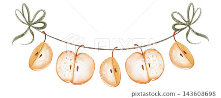 Autumn Apple Garland Hanging on a Cord Watercolor Illustration Autumn Apple Garland Hanging on a Cord Watercolor Illustration 143608698