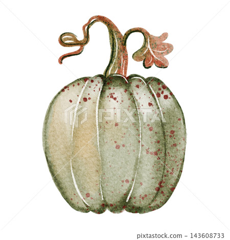 Pumpkin Watercolor Illustration Pumpkin Watercolor Illustration 143608733