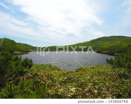 羅臼湖健行:五之沼 羅臼湖健行:五之沼 143608748