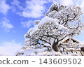 Mimasaka-Takio Station covered in snow, a winter scene with trees covered in snow blossoms and a blue sky. 143609502
