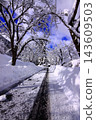 A snowy path leading to Mimasaka-Kawai Station, a winter scene of a snow-covered trail. 143609503