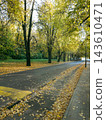 Asphalt road covered with golden autumn linden leaves in sunny park 143610471