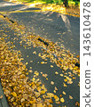 Golden autumn linden leaves scattered on asphalt road in park 143610478