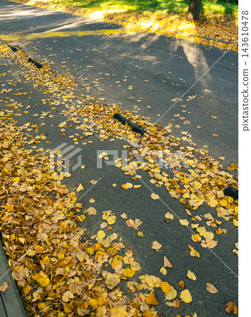 Golden autumn linden leaves scattered on asphalt road in park Golden autumn linden leaves scattered on asphalt road in park 143610478
