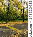 Speed bump on asphalt road in autumn park with golden leaves 143610483