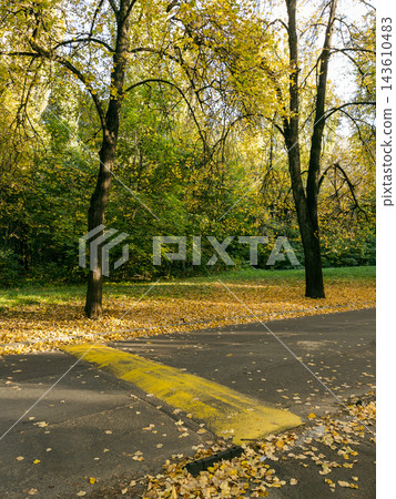 Speed bump on asphalt road in autumn park with golden leaves Speed bump on asphalt road in autumn park with golden leaves 143610483