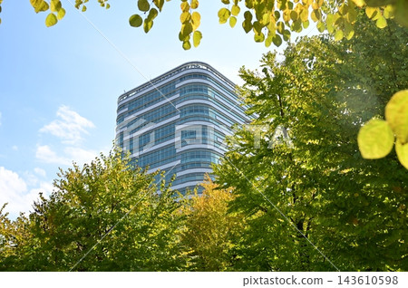 行政大樓-岐阜市政府(岐阜縣)和樹木 行政大樓-岐阜市政府(岐阜縣)和樹木 143610598