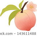 peach fruit with flower 143611488