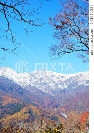 透過樹枝，可以看到白雪皚皚的北阿爾卑斯山和秋色斑斕的山谷：白馬深秋（豎構圖） 143611523