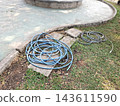 Two coiled garden hoses resting on concrete slabs near green grass and path. 143611590
