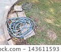 Blue and gray garden hoses coiled on concrete slabs in grassy park area. 143611593