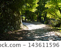 The cobblestone path continues into the distance. 143611596
