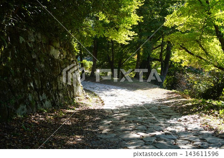 The cobblestone path continues into the distance. The cobblestone path continues into the distance. 143611596