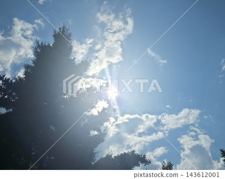 陽光透過的風景 143612001