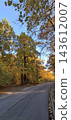 road to the autumn forest 143612007