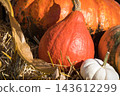 Autumnal decoration in garden made of vegetables and plants. Agriculture on autumn 143612299