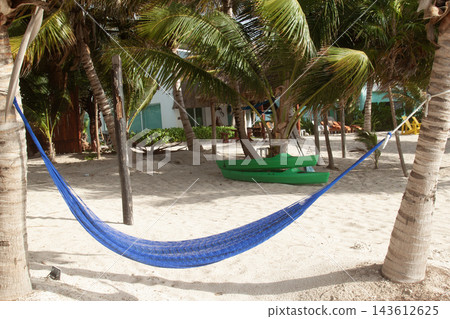 Blue hammock hanging between palm trees on beach Blue hammock hanging between palm trees on beach 143612625