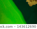 Abstract Green Flow and Golden Glitter Original Hand Drawn Artwork Illustration Made with Ink on Paper. 143612690