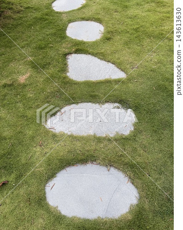 White Stepping Stones on Green Lawn in Garden White Stepping Stones on Green Lawn in Garden 143613630