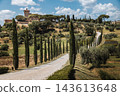 Palazzo Massaini in Tuscany, Italy. Scenic winding road lined with cypress trees leading to a historic villa surrounded by olive groves in the beautiful Tuscan countryside. 143613648