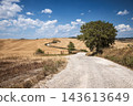 Golden harvested fields and winding gravel road in the rolling hills of Tuscany, Italy. Scenic summer countryside landscape with dry grass and blue sky with white clouds. 143613649