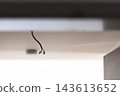Electrical wires hanging from ceiling during building renovation, unfinished electrical installation prepared for ceiling light fixture in a construction interior. 143613652