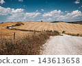 Golden harvested fields and winding gravel road in the rolling hills of Tuscany, Italy. Scenic summer countryside landscape with dry grass and blue sky with white clouds. 143613658