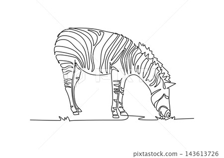 Single continuous line drawing wild zebra grazing peacefully on the savanna grass. Its characteristic stripe patterns, upright mane, and lowered head. One line draw graphic design vector illustration Single continuous line drawing wild zebra grazing peacefully on the savanna grass. Its characteristic stripe patterns, upright mane, and lowered head. One line draw graphic design vector illustration 143613726