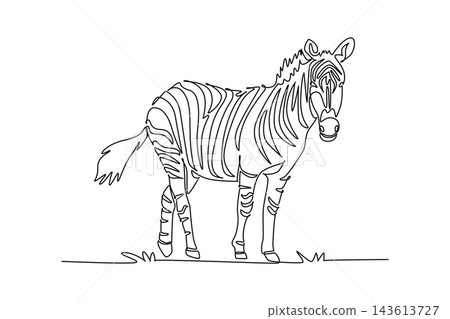 Single continuous line drawing wild zebra standing attentively while turning its head. Distinctive striped coat pattern, tufted tail, and upright mane. One line draw graphic design vector illustration Single continuous line drawing wild zebra standing attentively while turning its head. Distinctive striped coat pattern, tufted tail, and upright mane. One line draw graphic design vector illustration 143613727