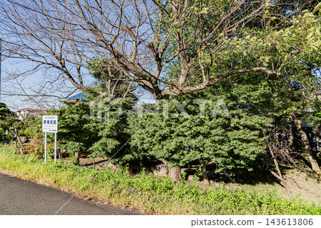 莊畑城遺址景觀 143613806
