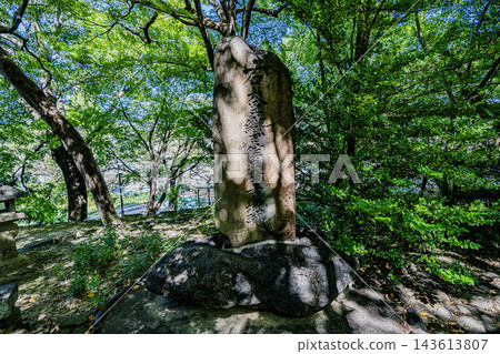 清洲古城公園景色 143613807