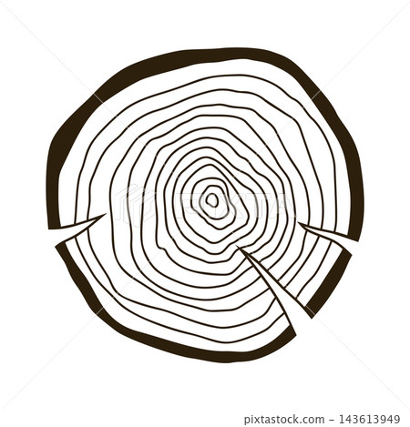 Wooden log texture. Wood lumber circle and cut tree structure hand drawing isolated vector illustration 143613949